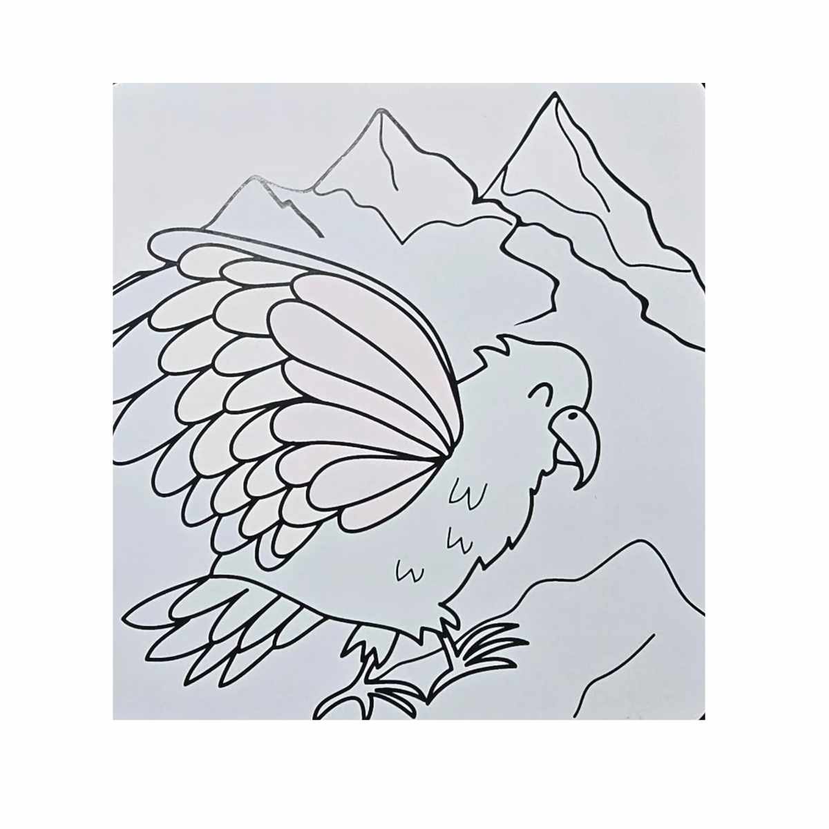 Moana Road Magic Colour Pad