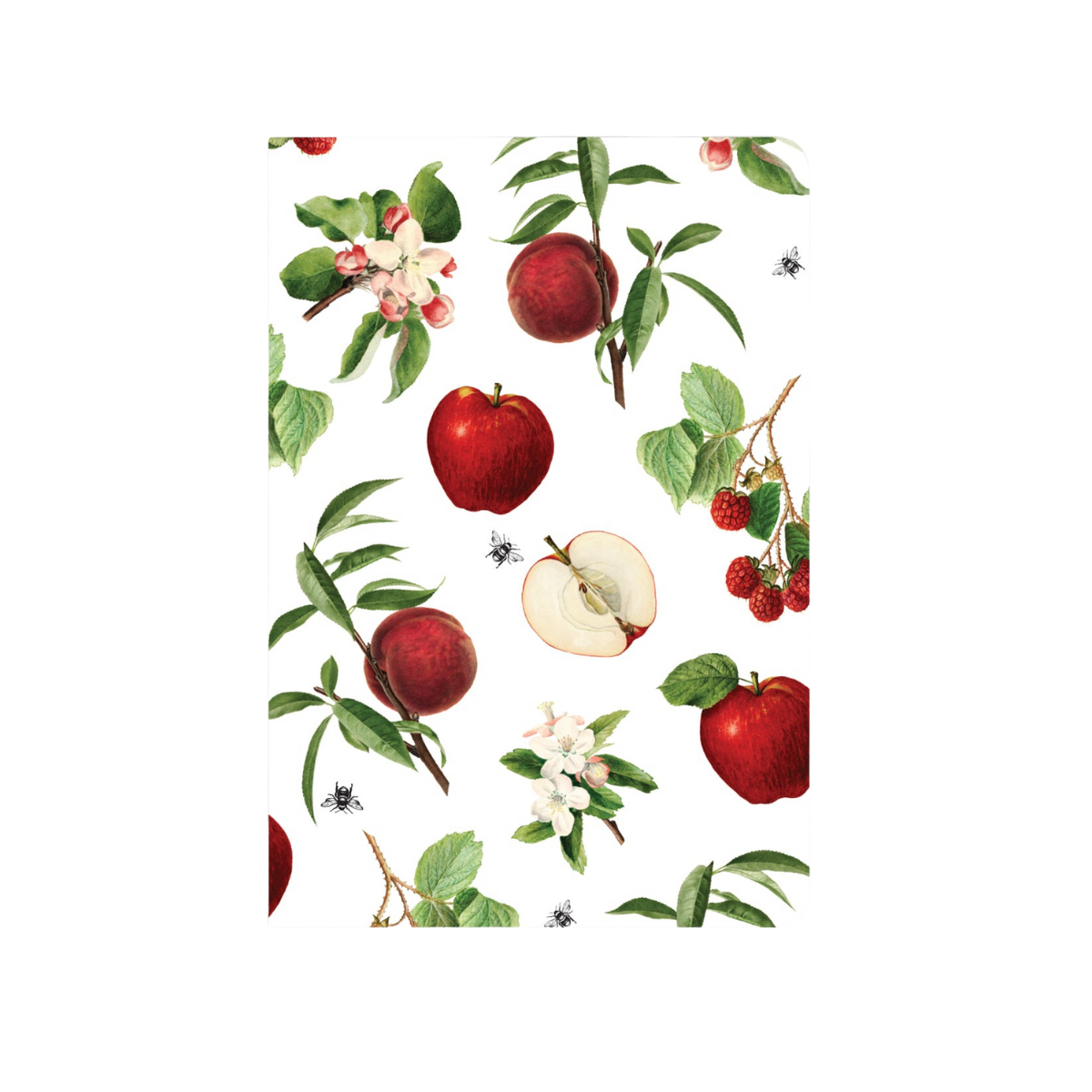 A5 Notebooks by Father Rabbit + Lettuce