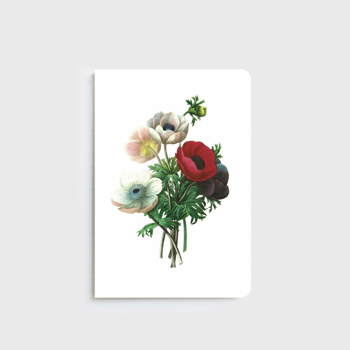A5 Notebooks by Father Rabbit + Lettuce