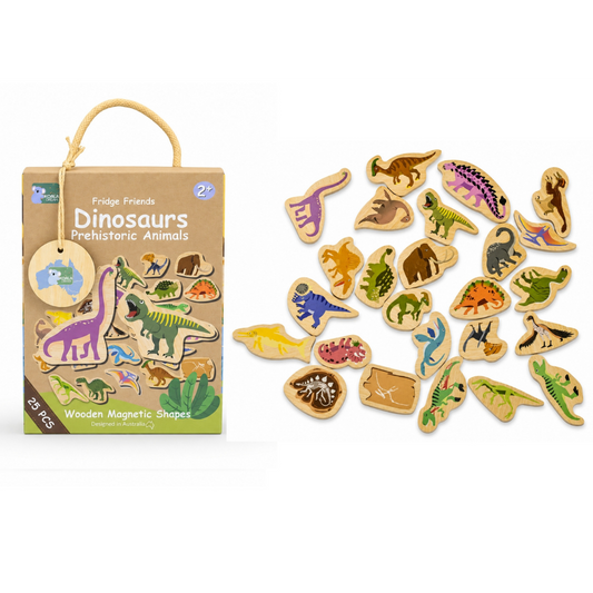 Koala Dream Fridge Friends Pets Magnets