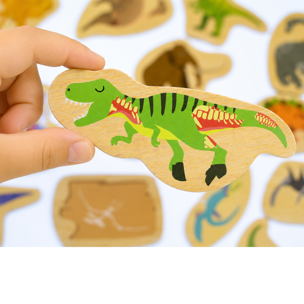 Koala Dream Fridge Friends Pets Magnets