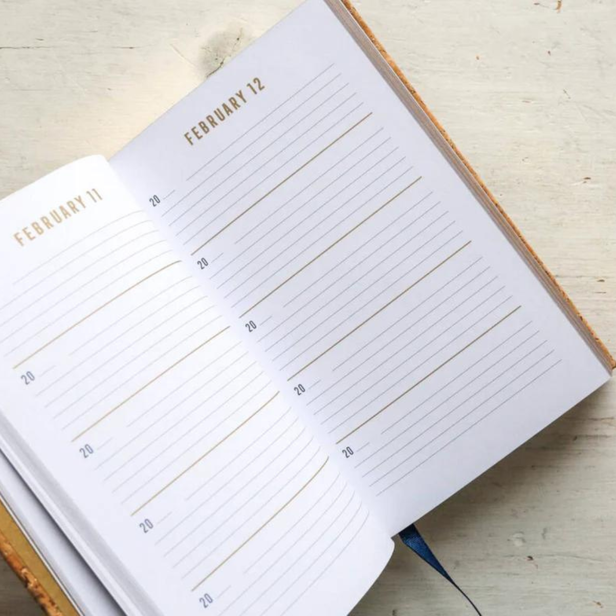 One Line A Day Journal