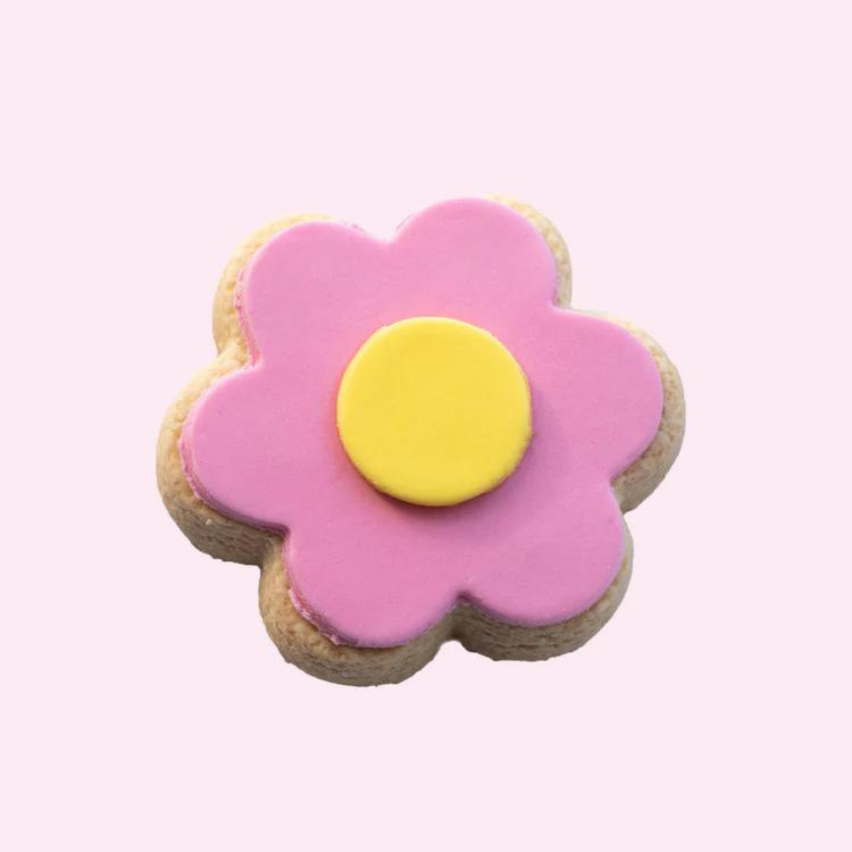 Molly Woppy Shortbread Daisy