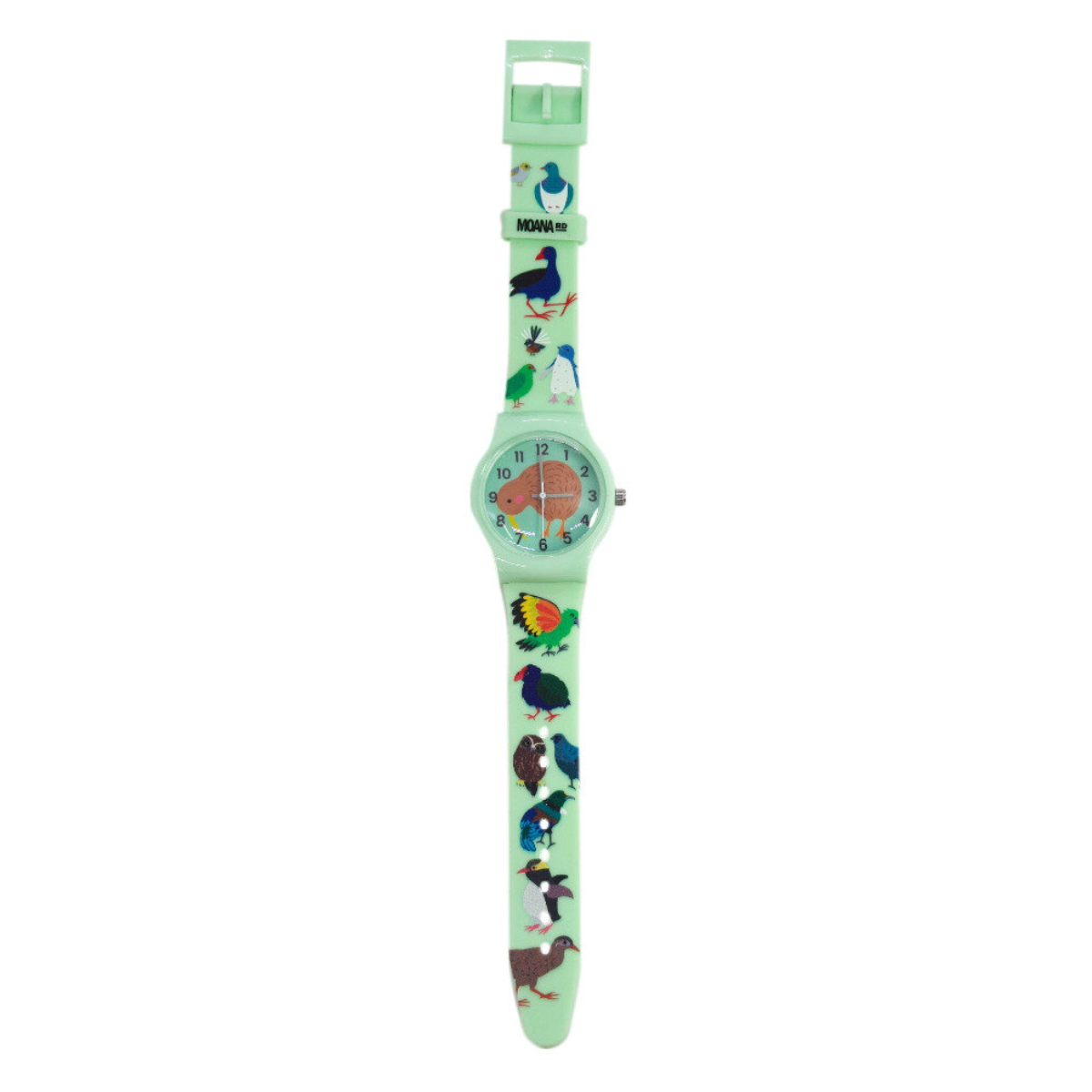 Moana Road OGS Native Birds Watch