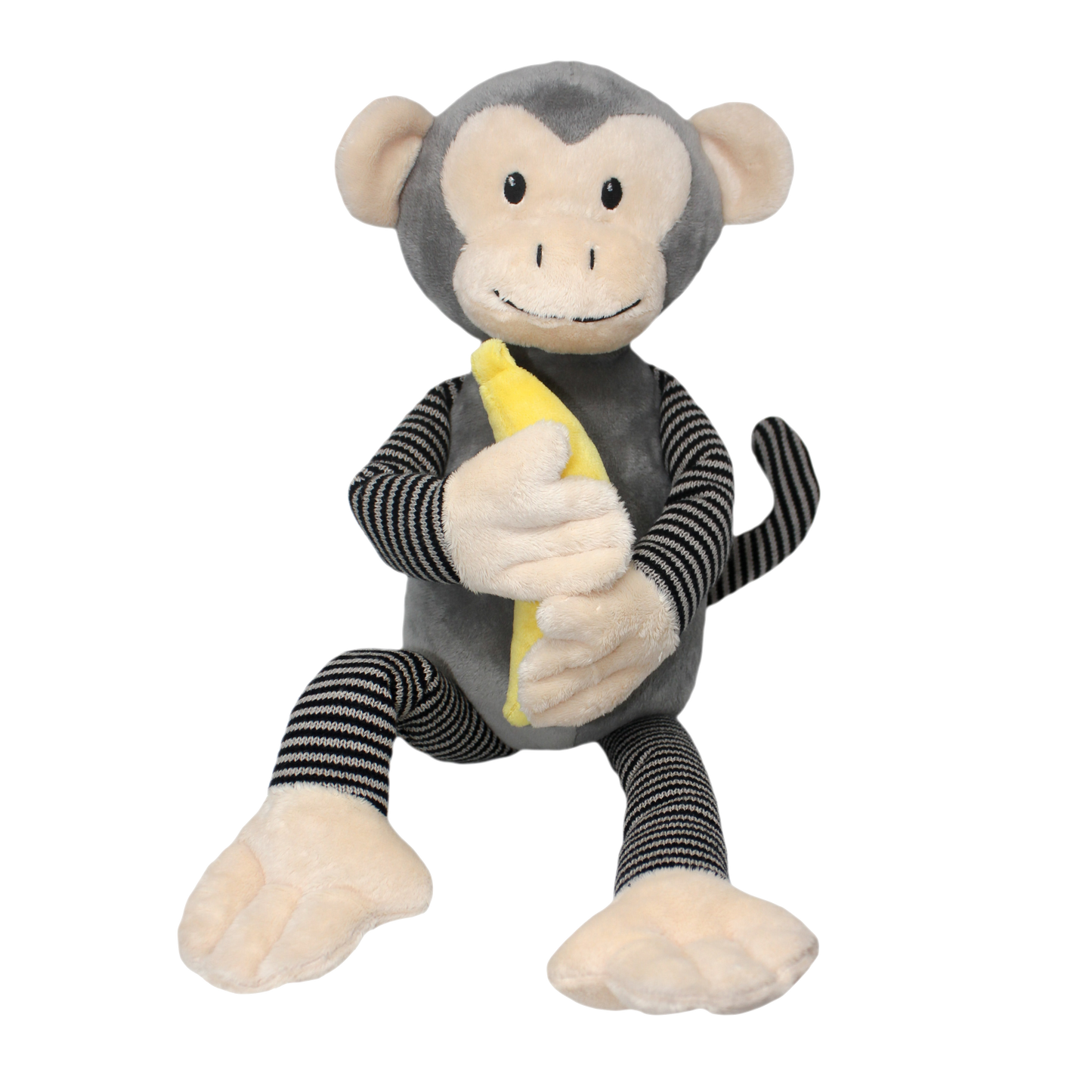 Mateo the Spider Monkey