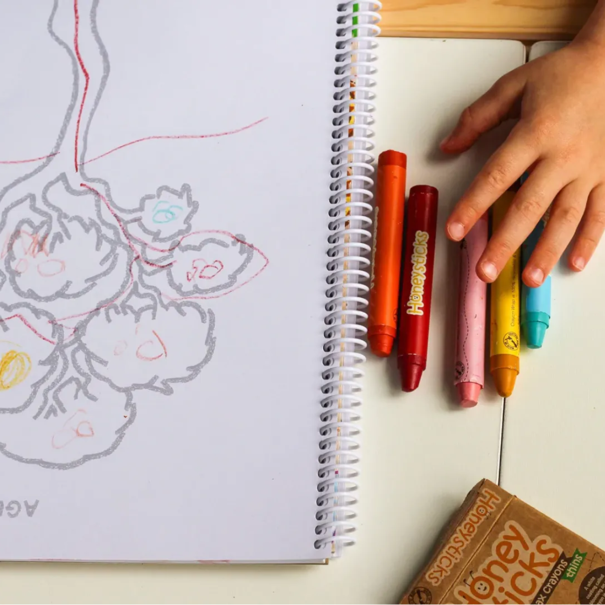 Honeysticks Beewax Crayons