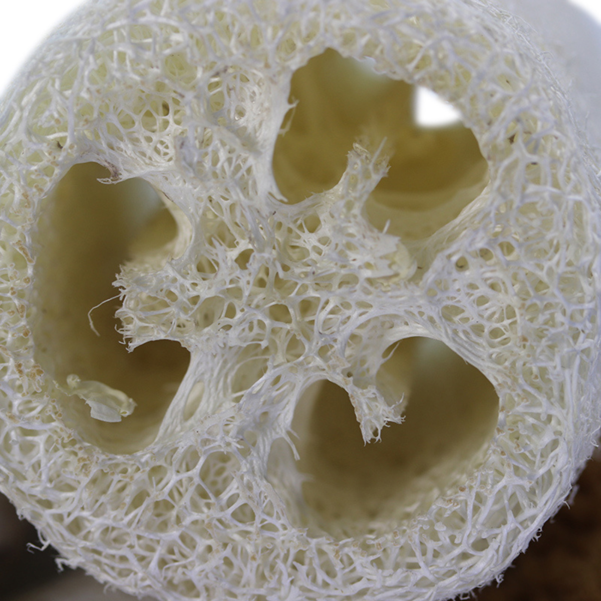 Anoint Skincare Loofah Sponge