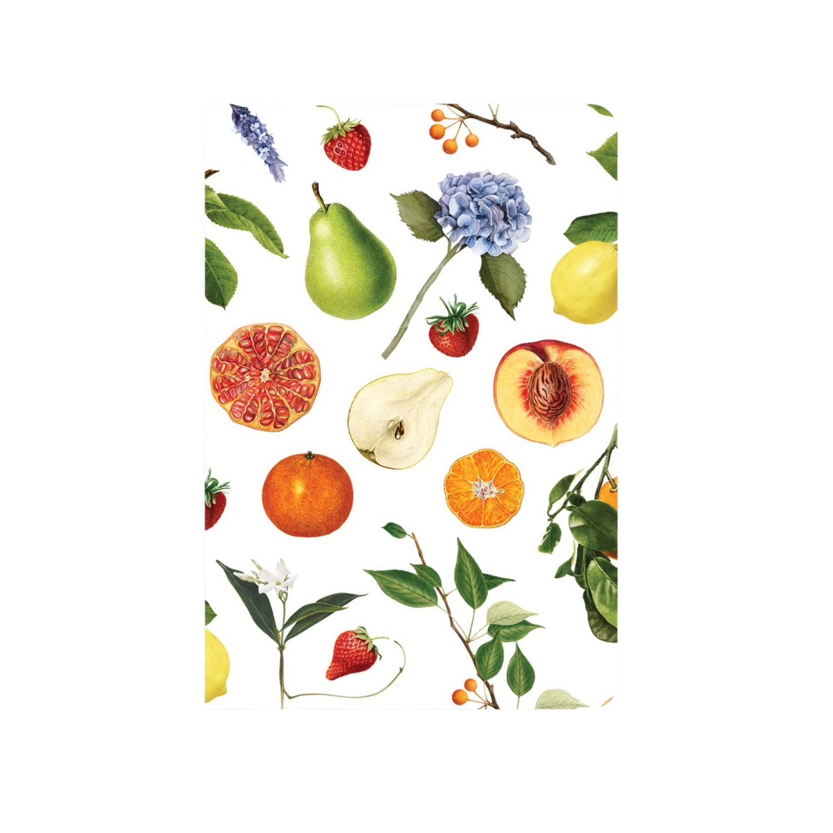 A5 Notebooks by Father Rabbit + Lettuce