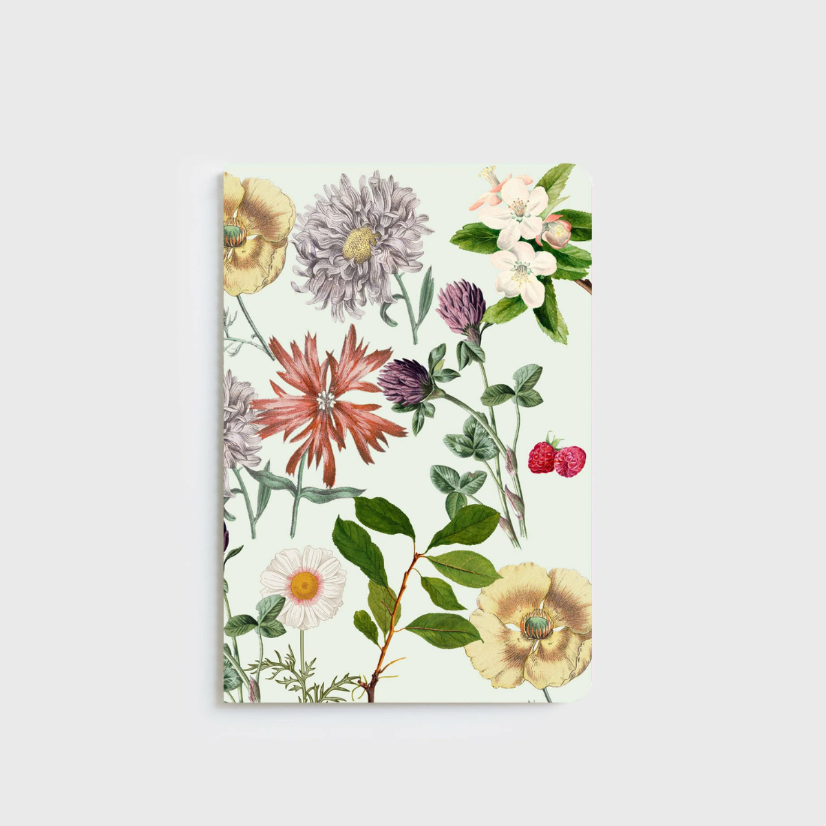 A5 Notebooks by Father Rabbit + Lettuce