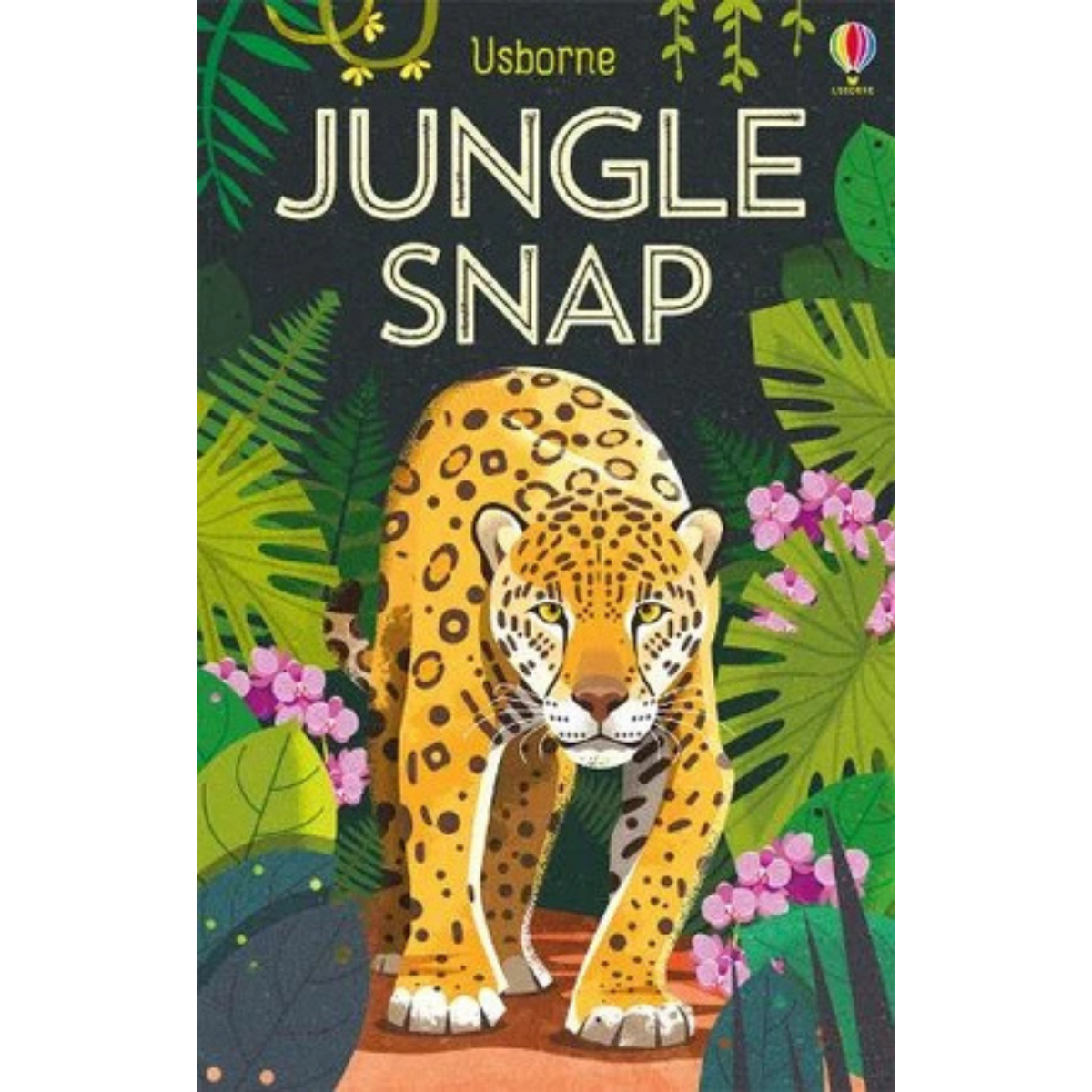 Snap Cards