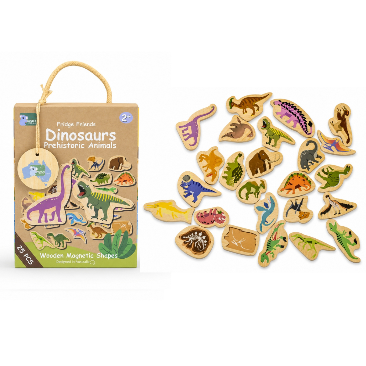 Koala Dream Fridge Friends Pets Magnets