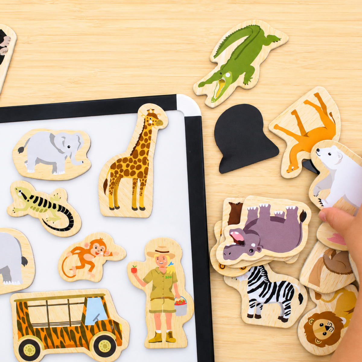 Koala Dream Fridge Friends Pets Magnets