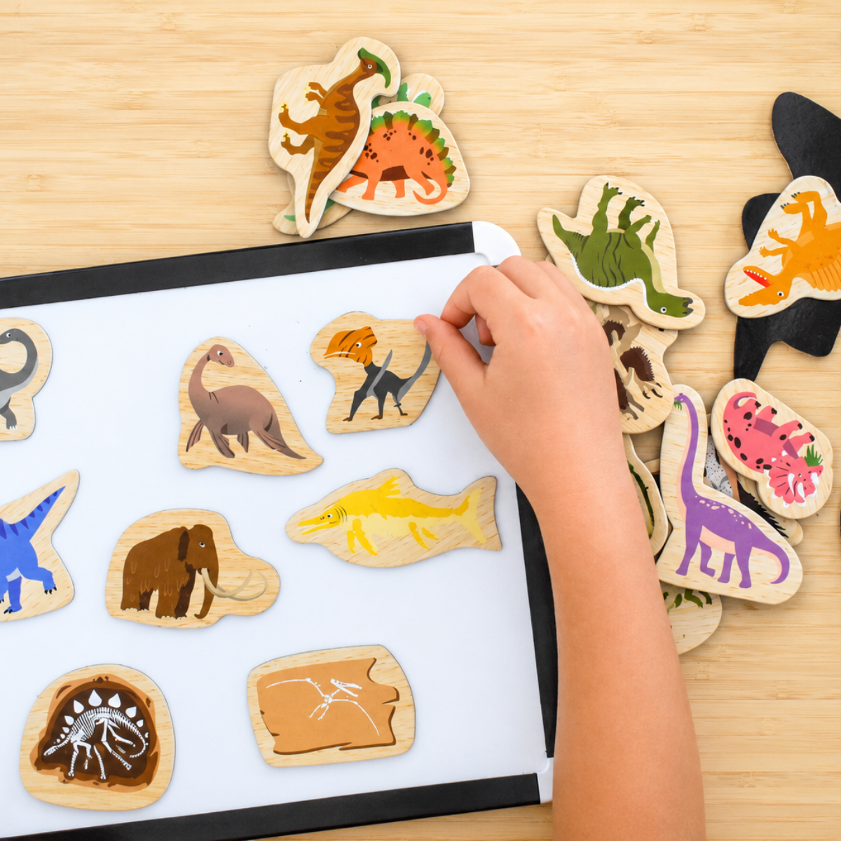 Koala Dream Fridge Friends Pets Magnets
