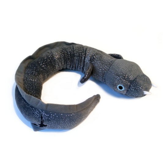 Moana Road Ellie the Longfin Eel