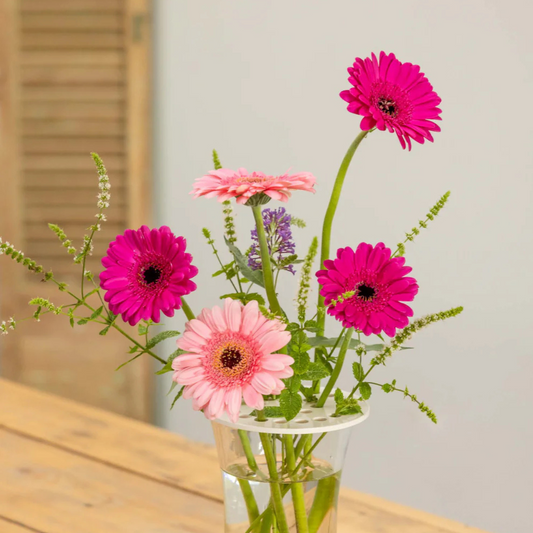 Flower Arranging Disc Sets