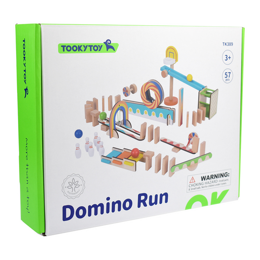 Tooky Toy Domino Run Building Set