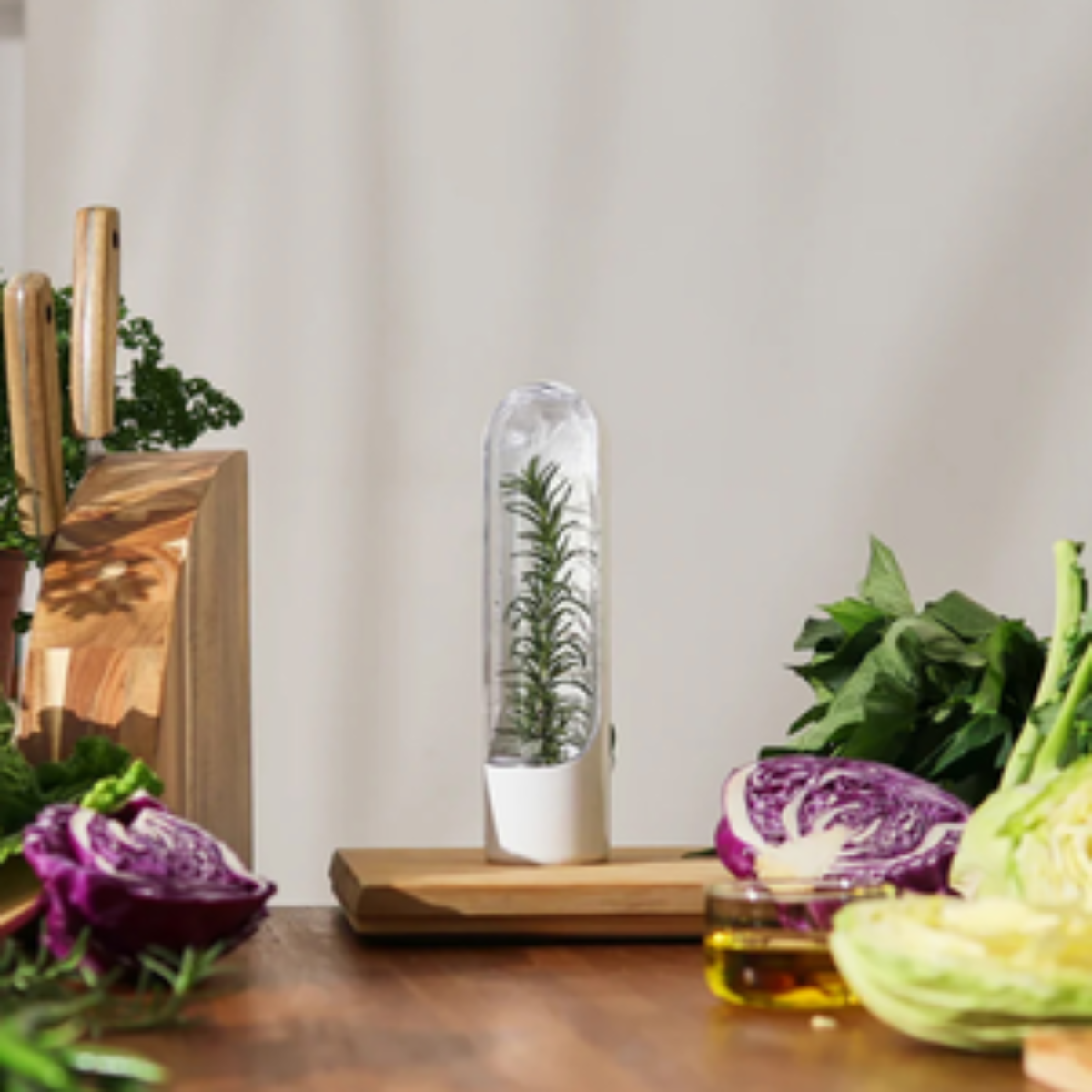 The Prepara Herb Savor Pod 2.0