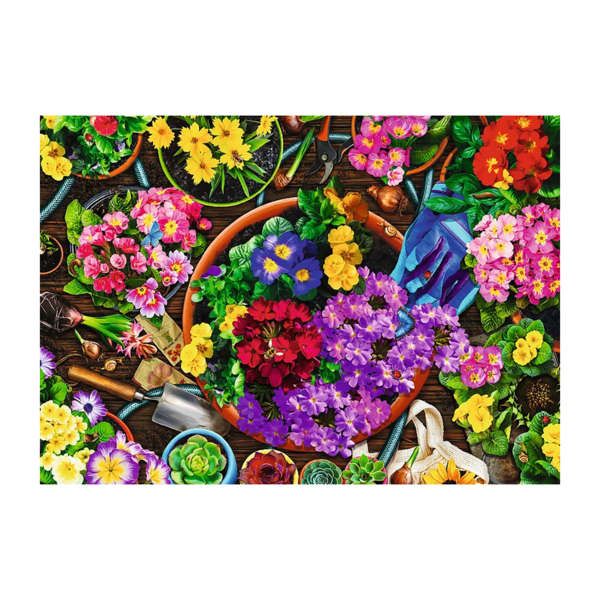 Trefl 2 x 500 piece Puzzles