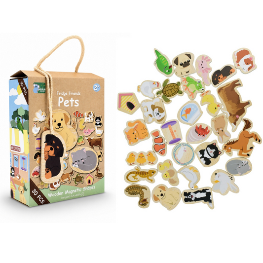 Koala Dream Fridge Friends Pets Magnets