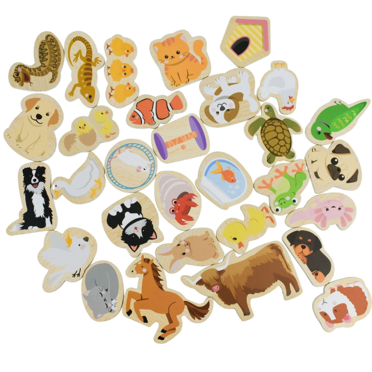 Koala Dream Fridge Friends Pets Magnets