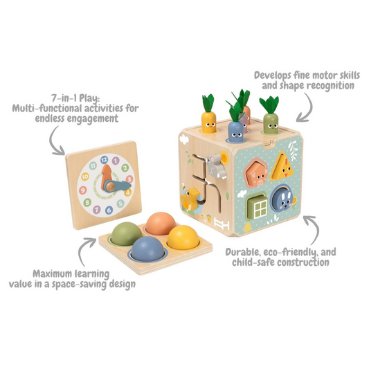Tooky Toy Activity Cube