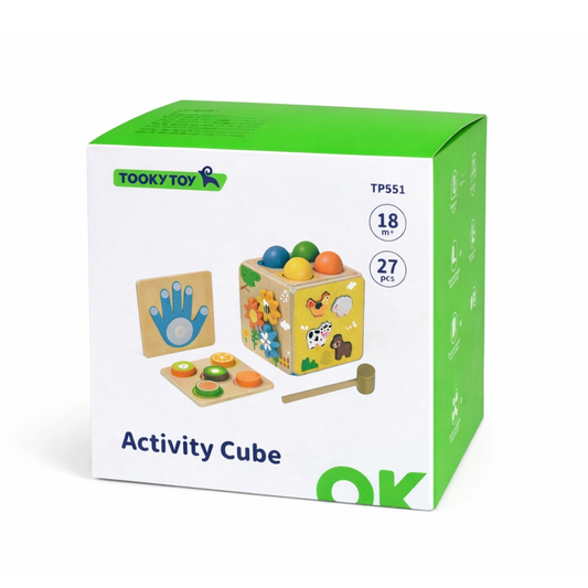 Tooky Toy Activity Cube