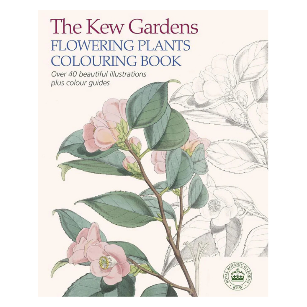 Kew Gardens Flowering Plants Colouring Book