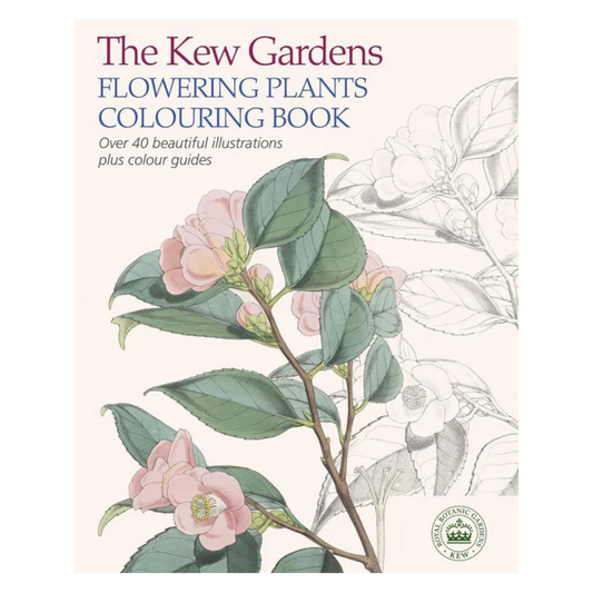 Kew Gardens Flowering Plants Colouring Book