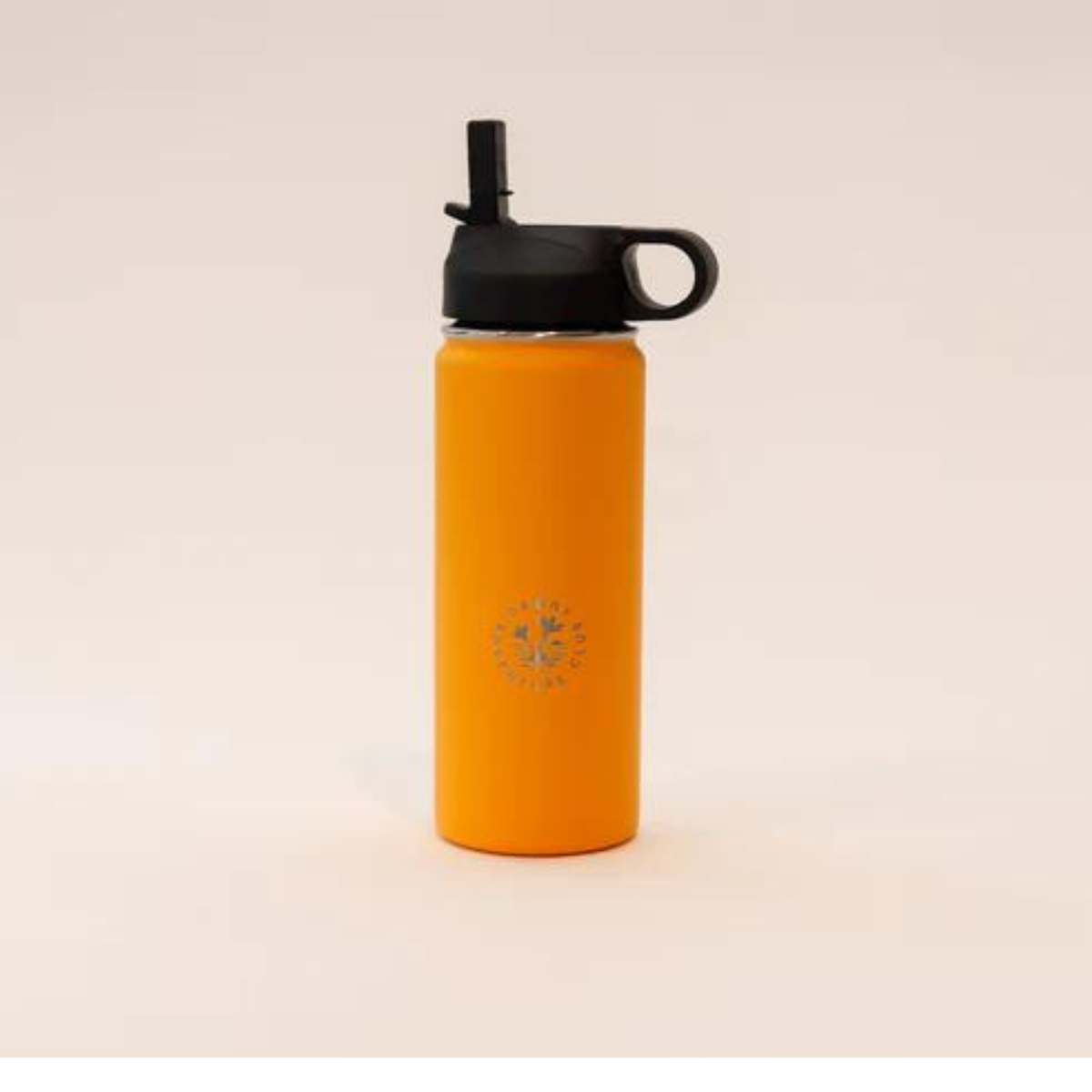 530mls Dawny Adventure Water Bottles